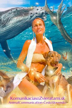 ANIMAL COMMUNICATION