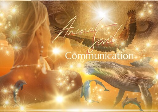 Animal Soul Communication - ENG